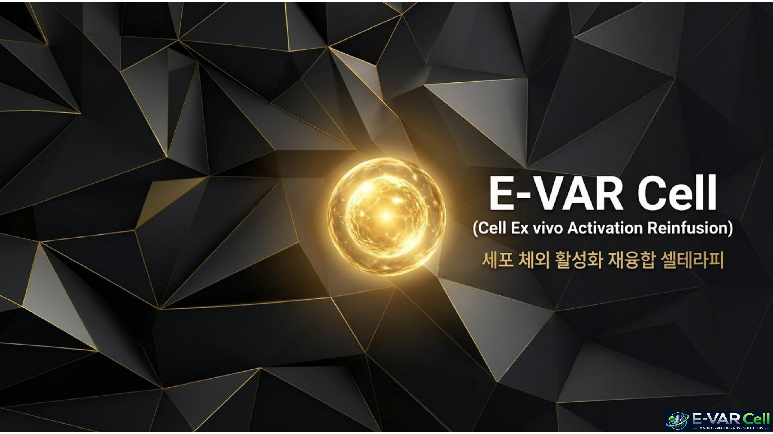 E-VAR Cell 슬라이드 1
