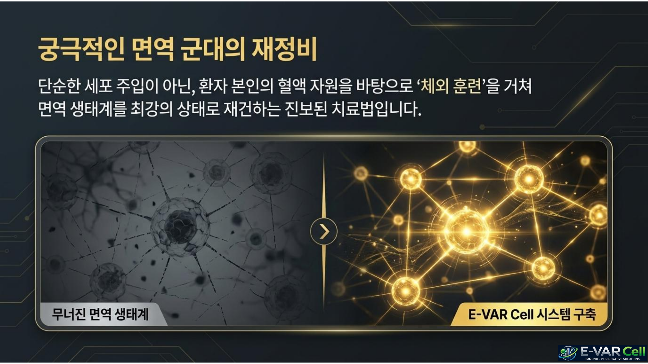 E-VAR Cell 슬라이드 2