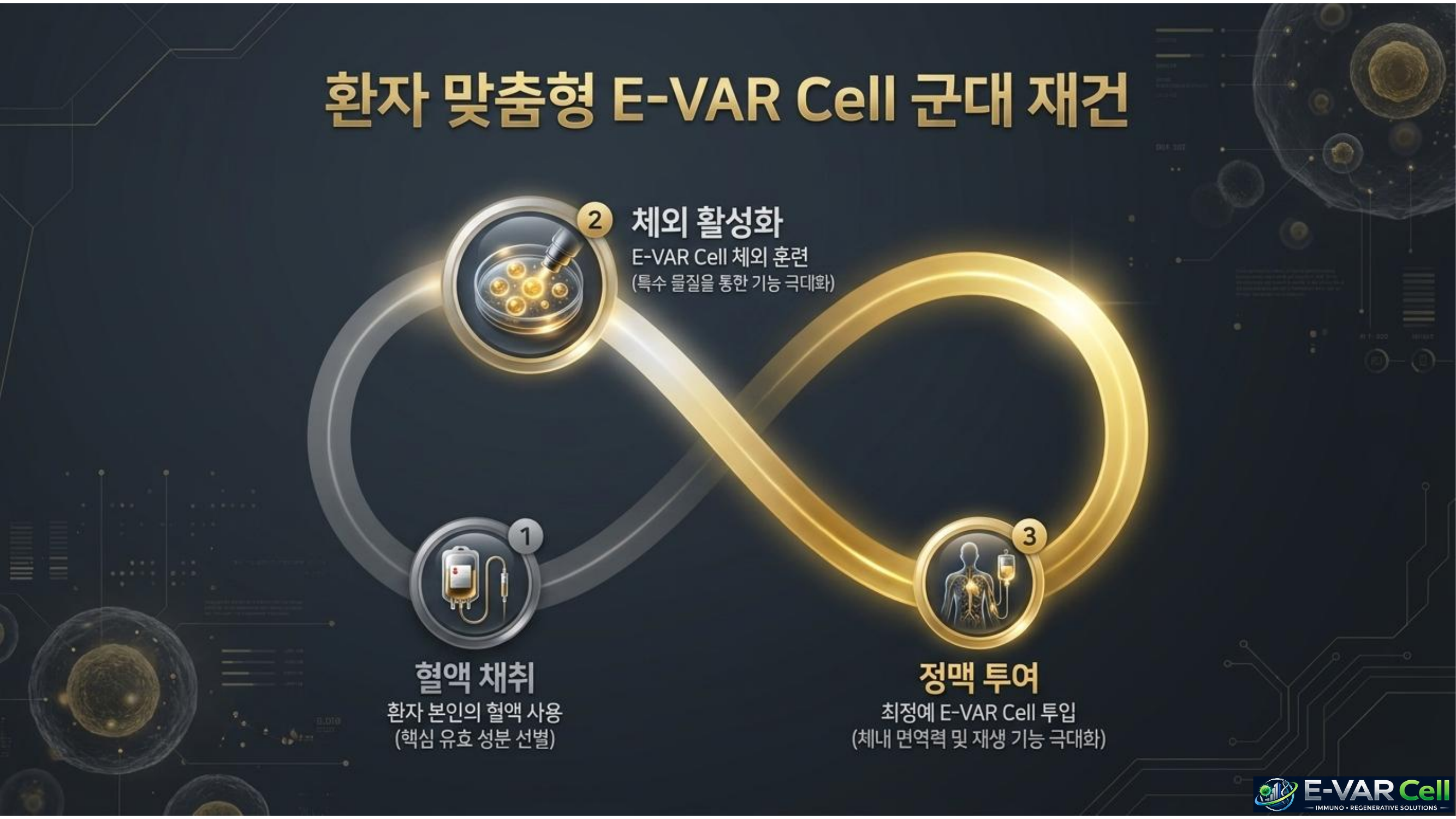 E-VAR Cell 슬라이드 3
