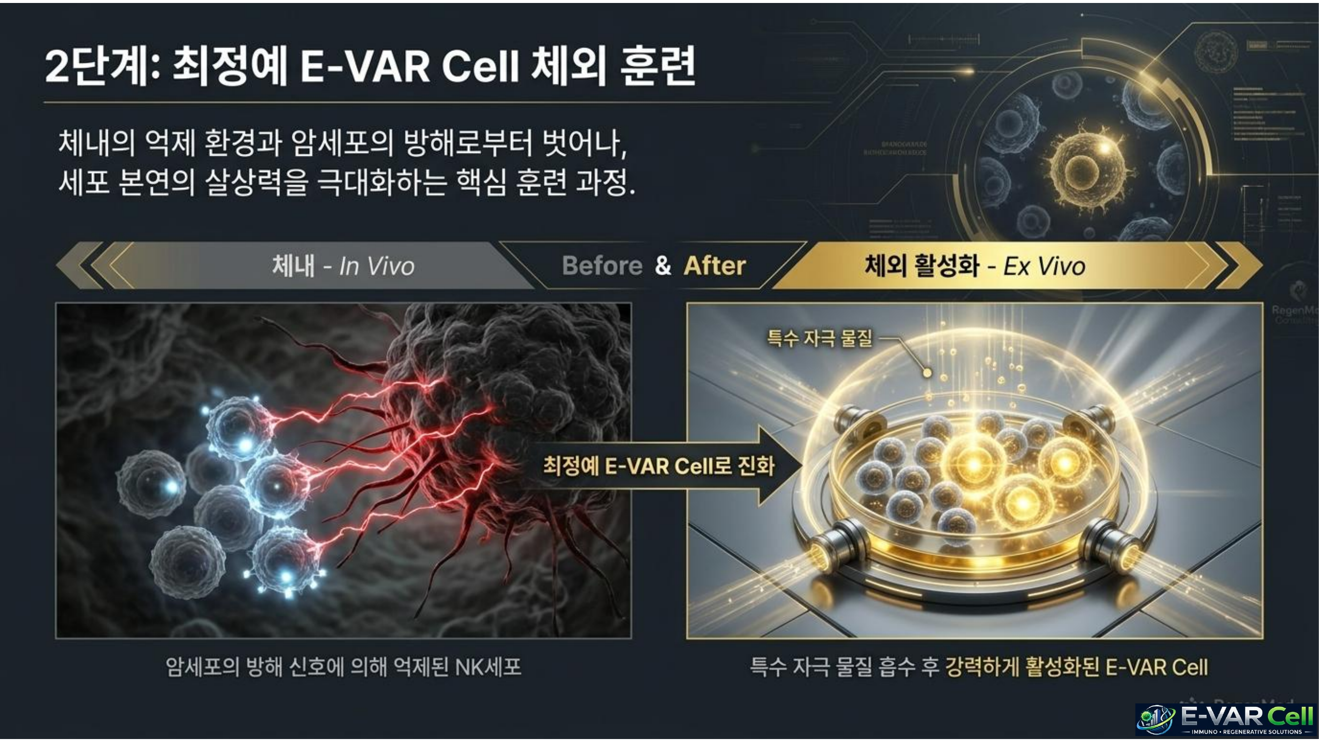 E-VAR Cell 슬라이드 6