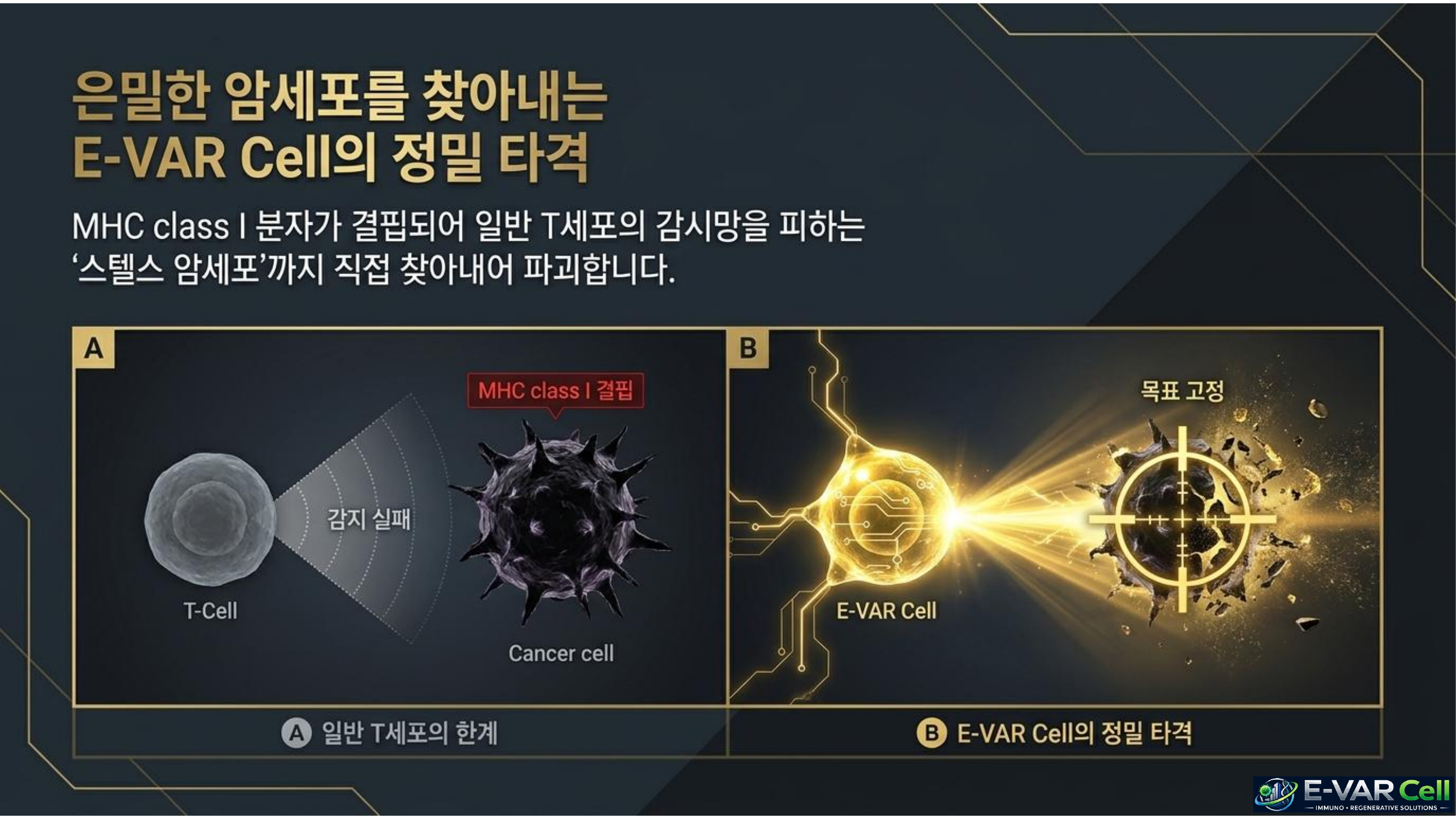 E-VAR Cell 슬라이드 9