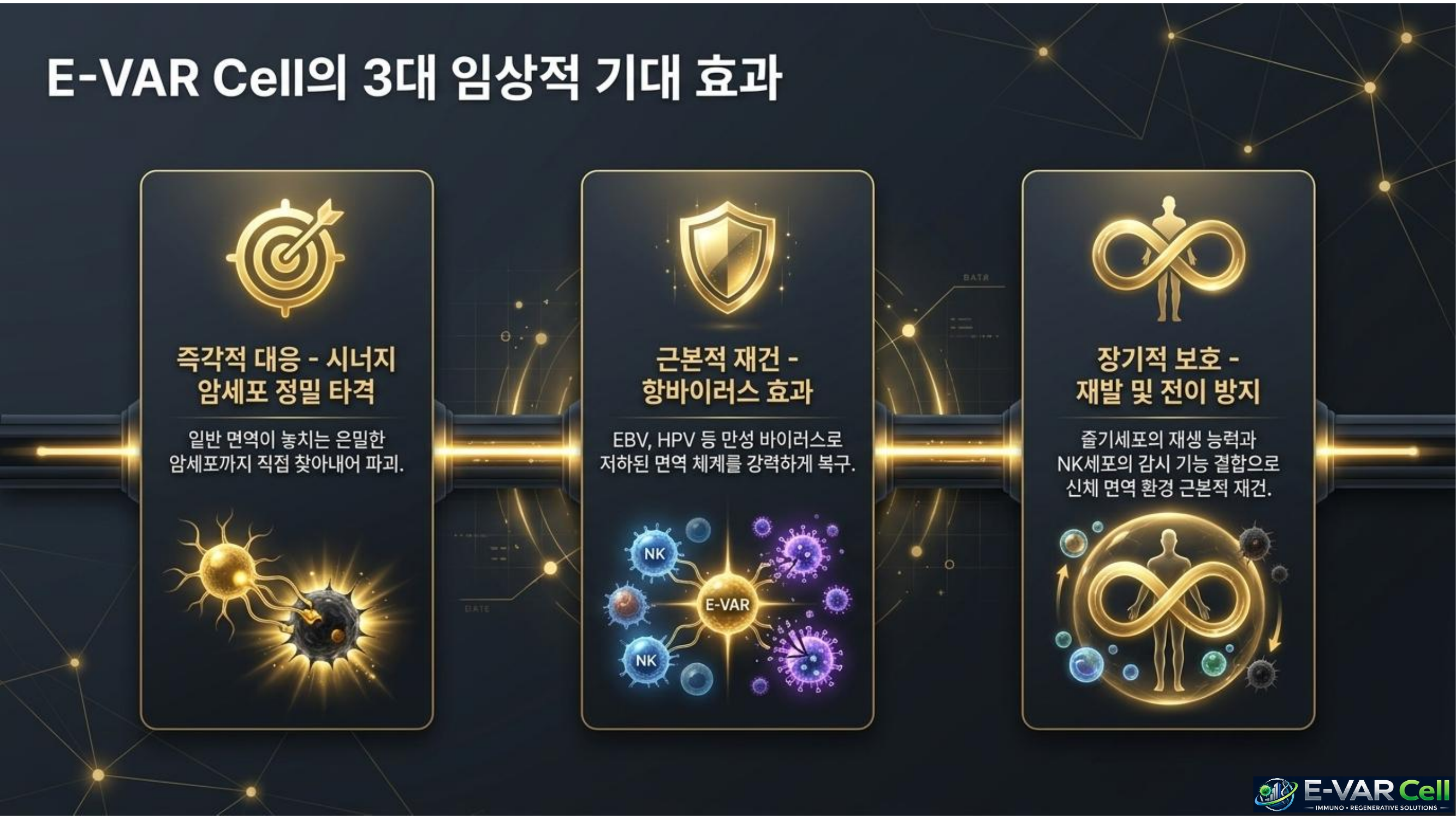 E-VAR Cell 슬라이드 10